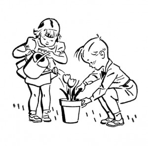Junior Gardener